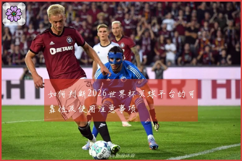 如何判断2026世界杯买球平台的可靠性及使用注意事项